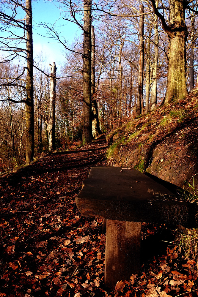 Sheffield Park_001