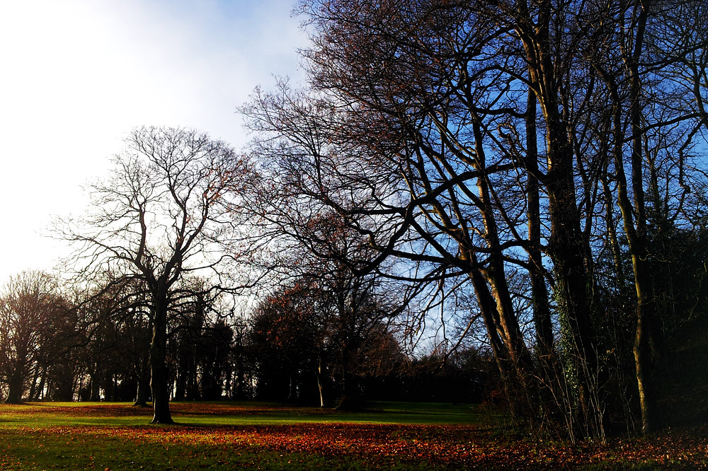 Sheffield Parks_003a